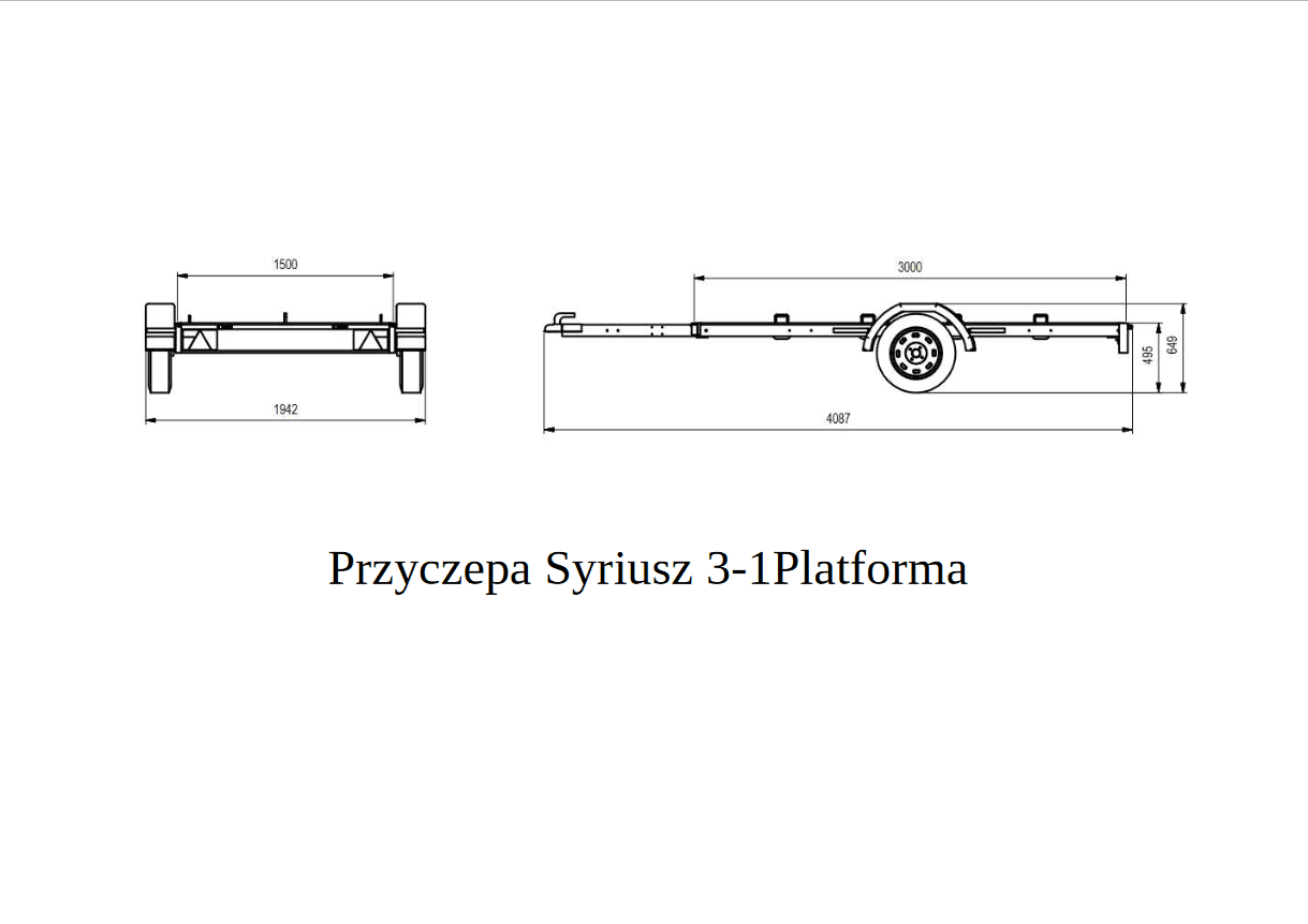 Platforma towarowa SYRIUSZ 3-1 - obrazek 4